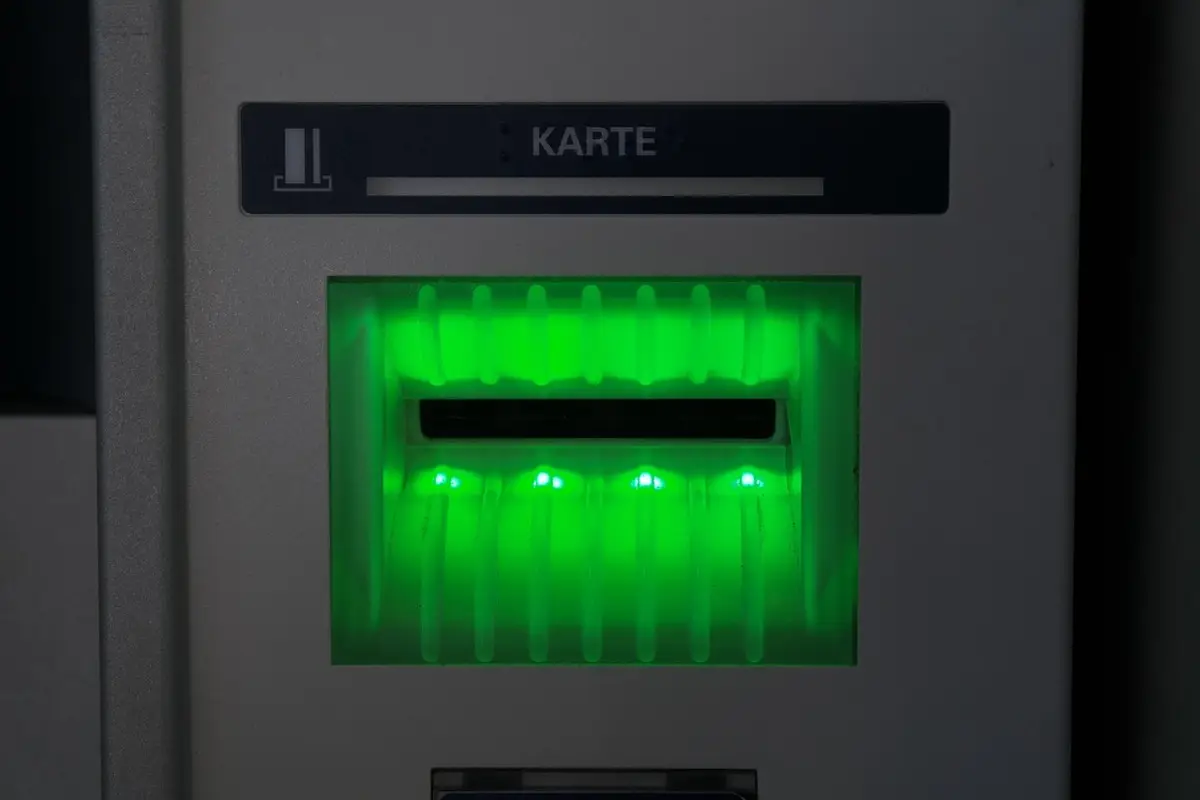 Immagine selezionata