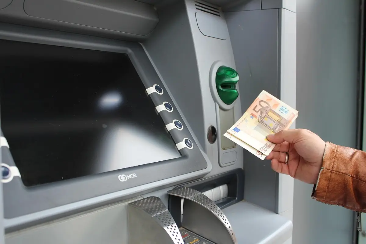 Immagine selezionata